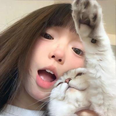 小迪兹的完美观念